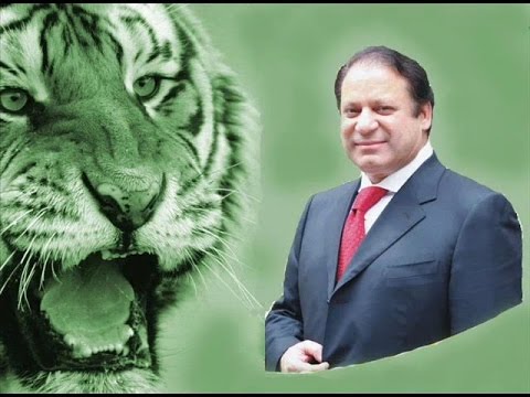 pmln audio song download
