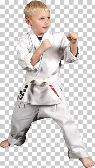 the karate kid in hindi movie counter